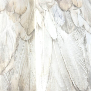 Luxury Beige Bird Birds 3D Embossed Wallpaper, Premium Non-Woven Wall Covering, 41.7"W x 614"H, Washable Removable for Living