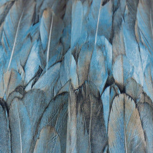 Luxury Blue Bird Birds 3D Embossed Wallpaper, Coastal Non-Woven Wall Covering, 41.7"W x 614"H, Washable Removable for Living 