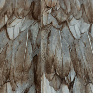 Luxury Brown Bird Birds 3D Embossed Wallpaper, Premium Non-Woven Wall Covering, 41.7"W x 614"H, Washable Removable for Living